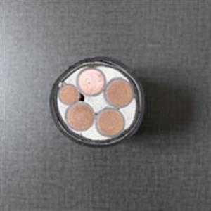 WDZB-YJ(F)E銅芯無鹵低煙阻燃B級輻照交聯(lián)聚乙烯絕緣電力電纜